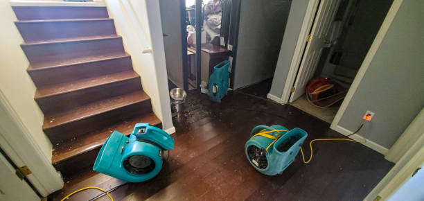 Best Water damage contractors near me  in Boyd, TX