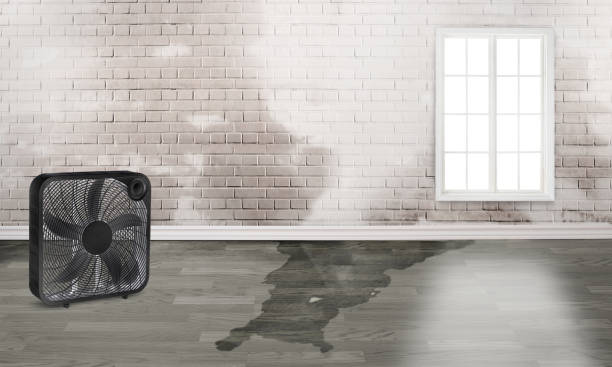 Professional Water damage restoration in Boyd, TX