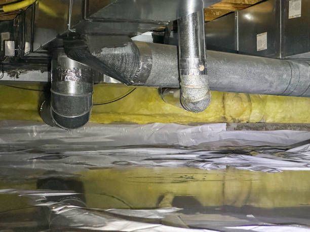 Best Flood damage cleanup  in Boyd, TX