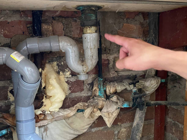 Best Water damage cleanup near me  in Boyd, TX